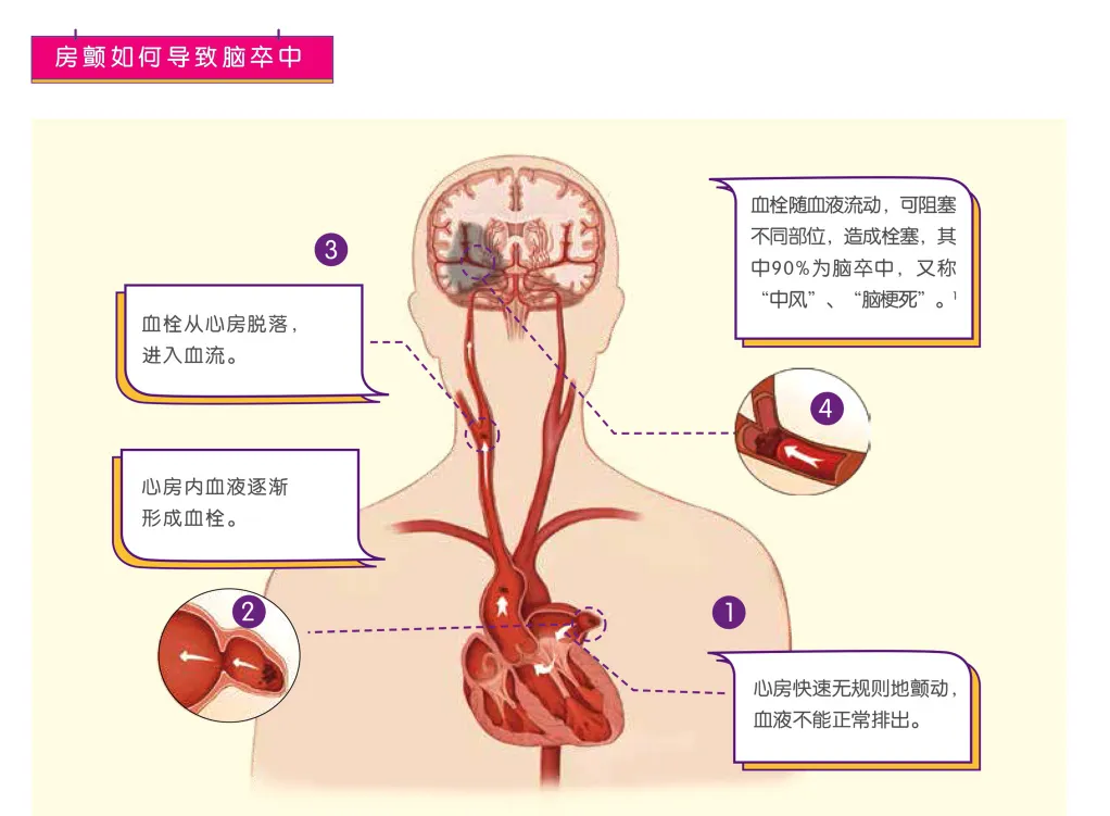 1591582955051002024.jpg 2.jpg