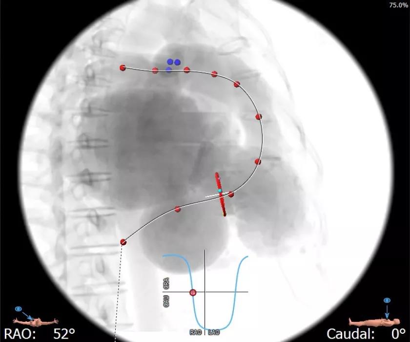 1622714381274048595.jpg 4.jpg