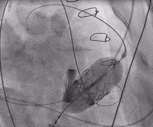 1622714589430098878.gif 3.gif