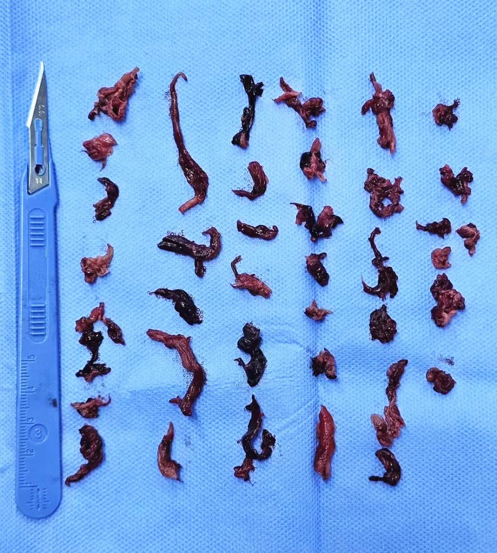 1713488305241209.png 图片2.png